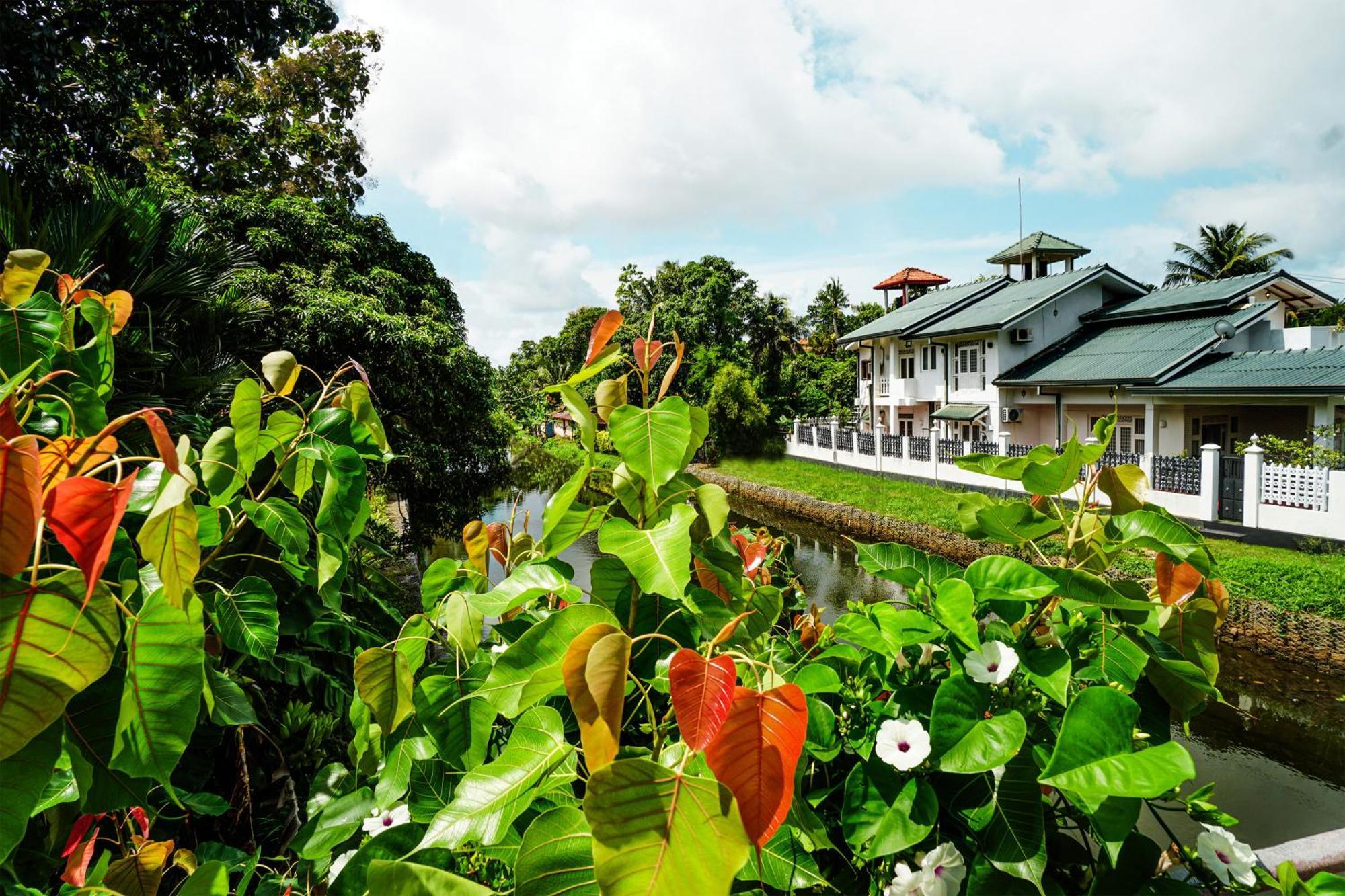 Ayur Ayur White Sail Villa Dalupotha Buitenkant foto